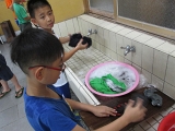 IMG_3733 (2)